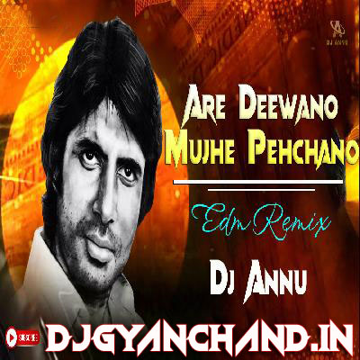 Are Deewano Mujhe Pehchano Mp3 ( Retro Edm Remix Song ) - DJ Annu Gopiganj